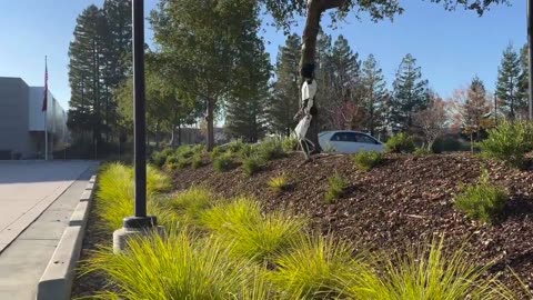 Tesla Optimus Walking On Uneven Terrain