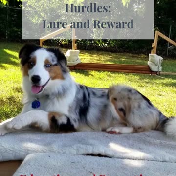 Hurdles practice and training ruff cut podcast cut 4