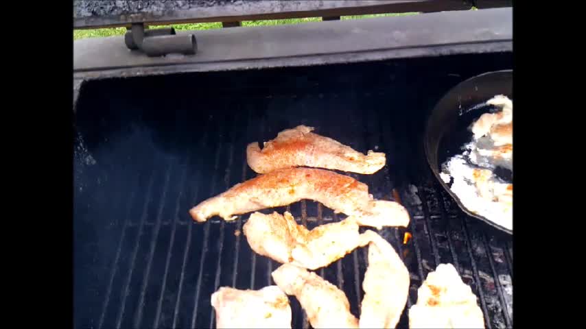 grilled kitty ( catfish y'all settle down)