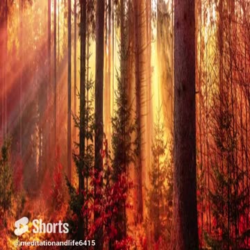 Nature's Sanctuary_ Guided Meditation for Deep Peace & Tranquility_ #soothing #meditation #relaxing