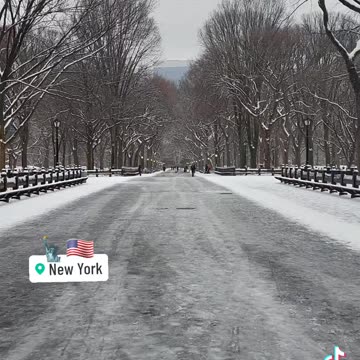 New York City Manhattan America USA Central Park