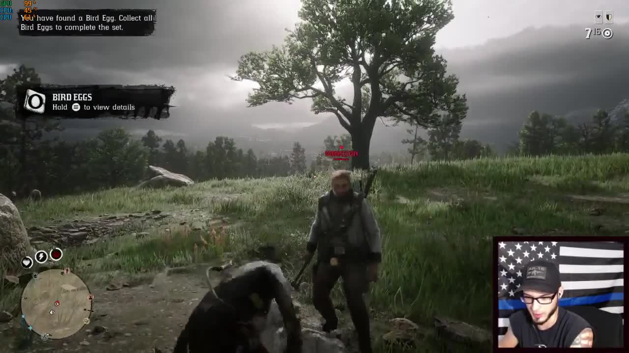 "Ohh Wow" Red Dead Redemption 2 Fail & Kill