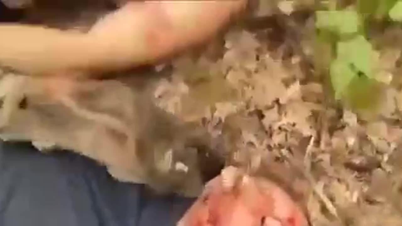 Russians Left in the Field