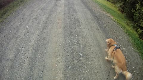 August 17th, 56º Flynn and I almost make it to Prentiss