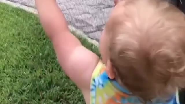 Little Boy Catching a Lizard, Unbelievable Speed, No fear