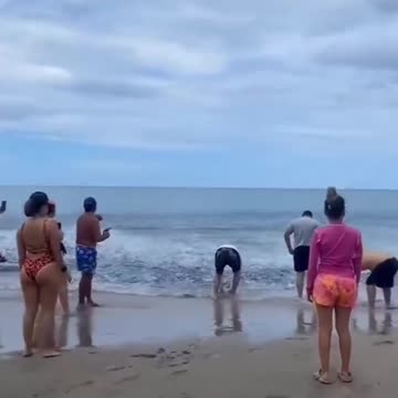 What's going on there?