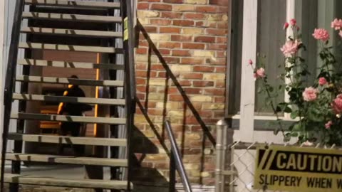 WAR ZONE PORTLAND SHOTS FIRED ON 80TH