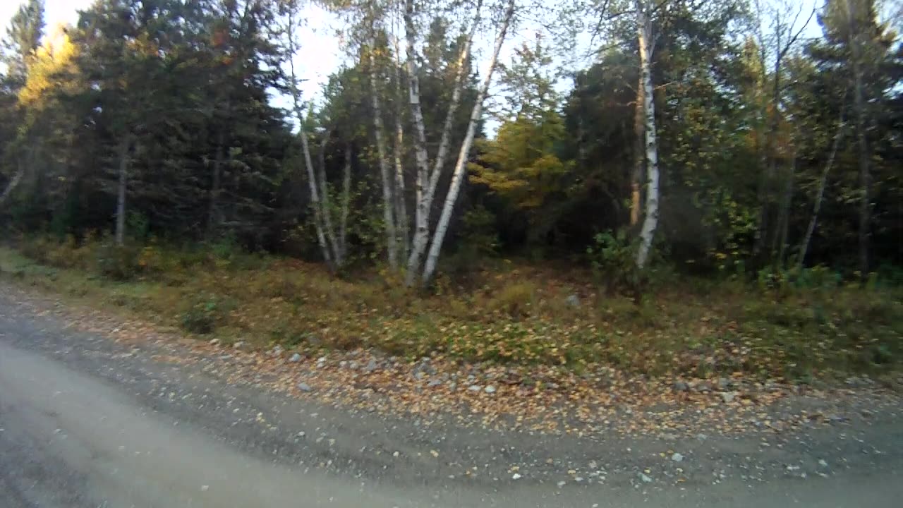 October 9th, 33º Frost made steps slick, Flynn pulls me to partridge