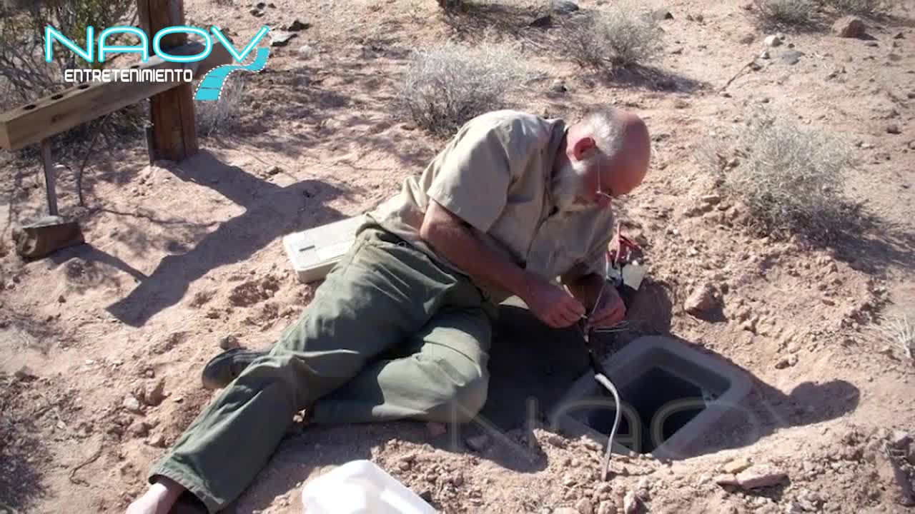 El Ser Humano Está Expuesto a Demasiada Radiofrecuencia