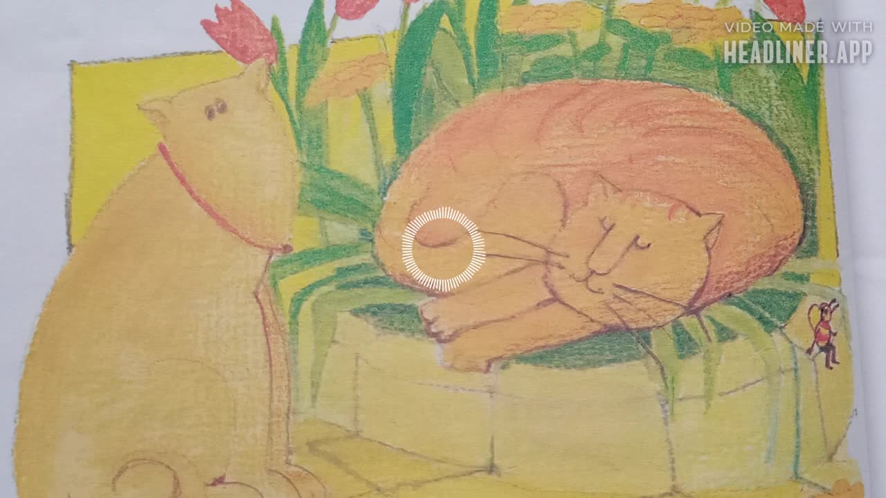 Book Reading (in Polish): Jak Pies z Kotem Czyli - Dwieście Dwadzieścia Dwa