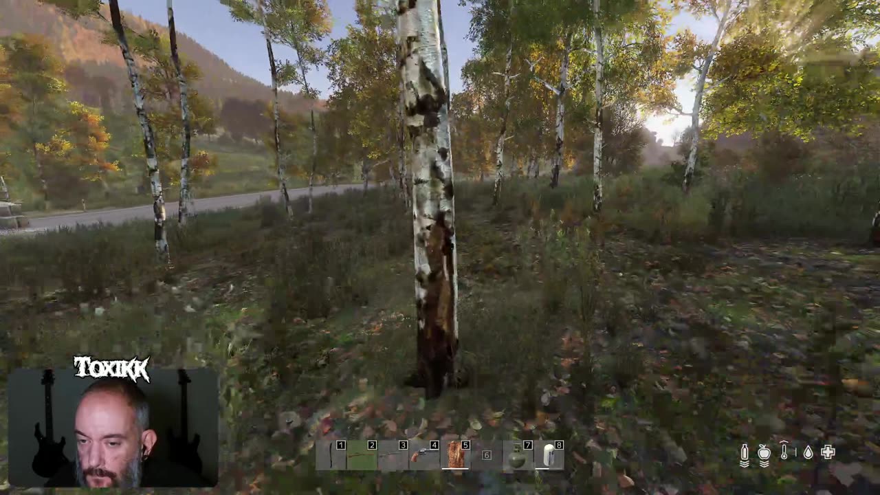 I Couldn’t Care Less About the Team Struggling … I Want to Kiss You (DayZ)