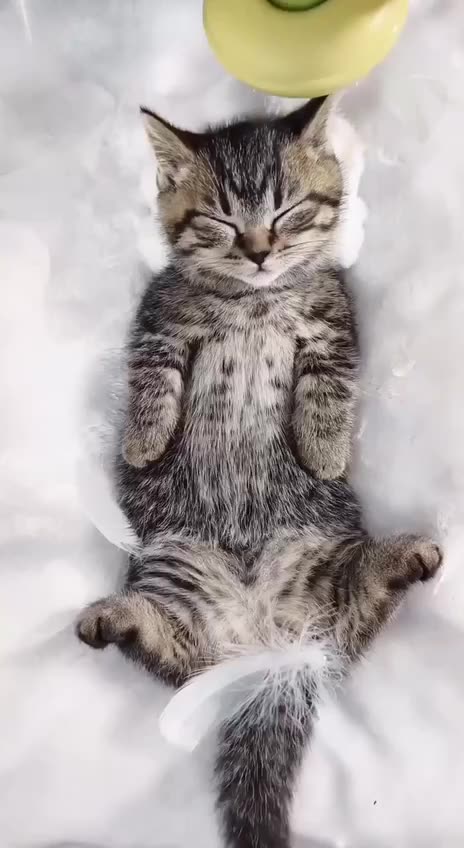 Luxury massage package 😍