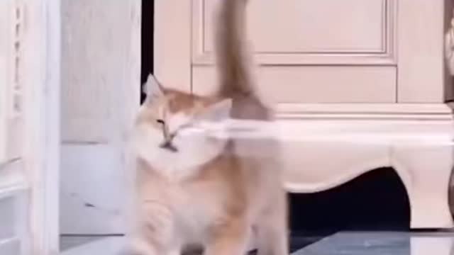 Funny