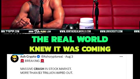 'THE REAL WORLD' Predicted Recent MARKET CRASH