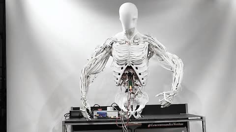 clone robotics - The first bimanual Torso created at Clone lab