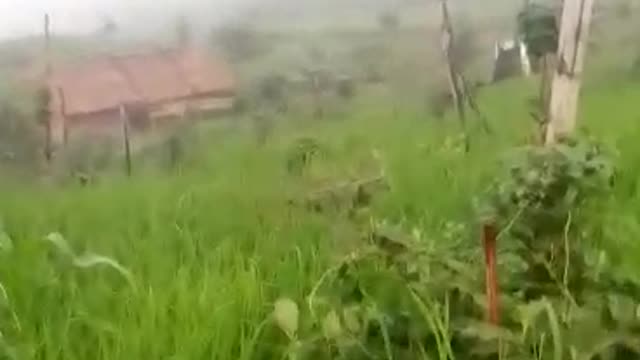 Real nature farmer