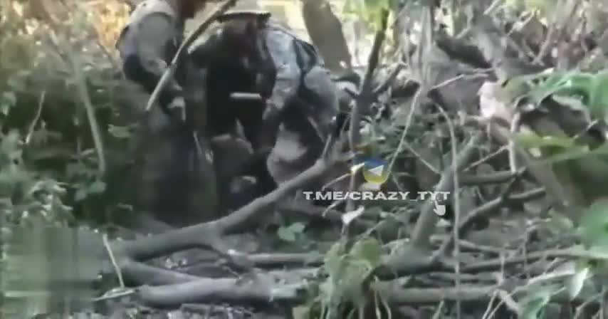 +18 Disturbing Video showing dead and wounded