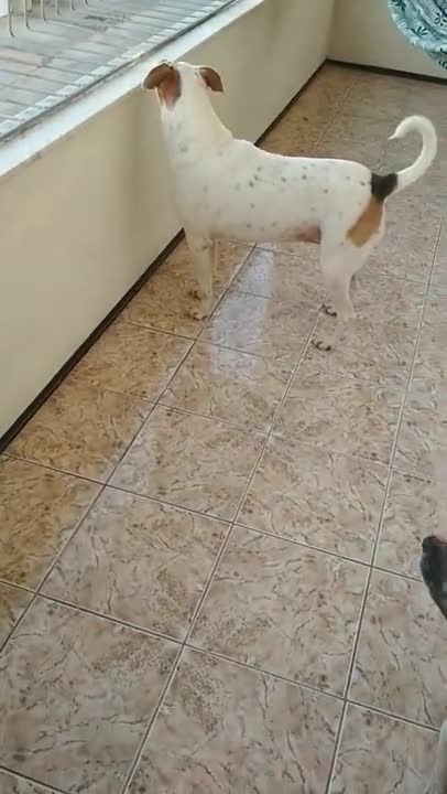 luna e sua irmã celiny