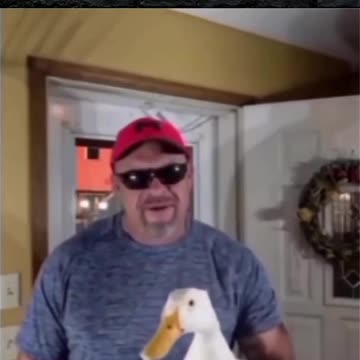 Lets Hope He Survived This