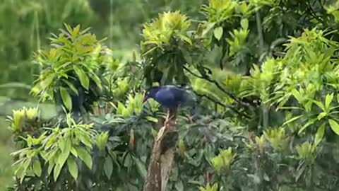 Time with God - July 17