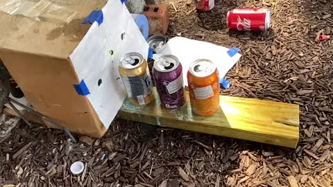 Pellet goes through 3 water filled cans 22 cal