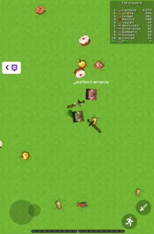 Playing a Online Minecraft