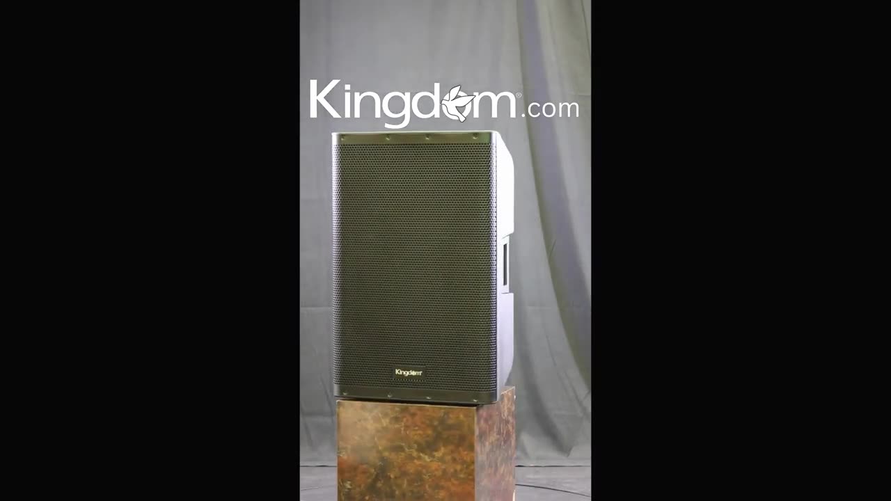 Kingdom 15" Passive Speaker - KPASSIVE15