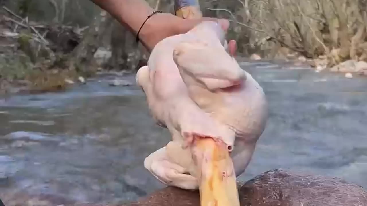 Roasted Whole Chicken in Nature