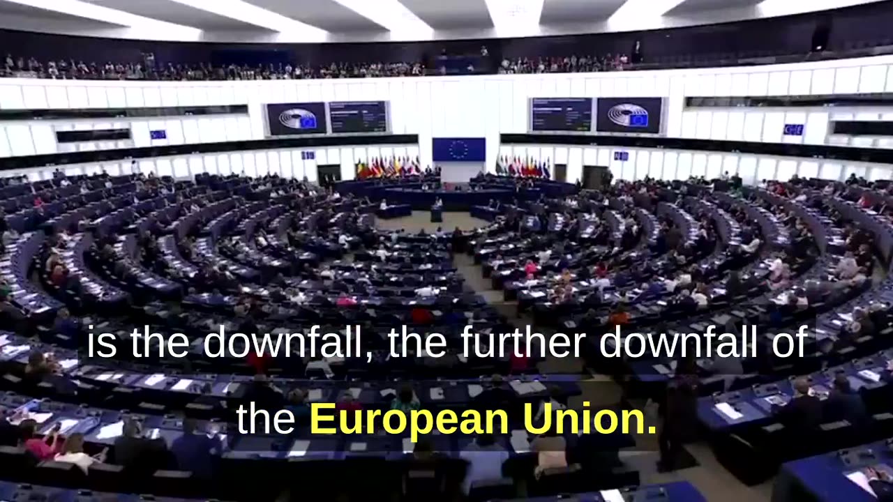 Polish MEP Flames Von Der Liar in the European Parliament. "You should be in jail"