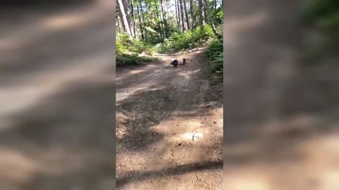 Epic fails. Complimation. Funny