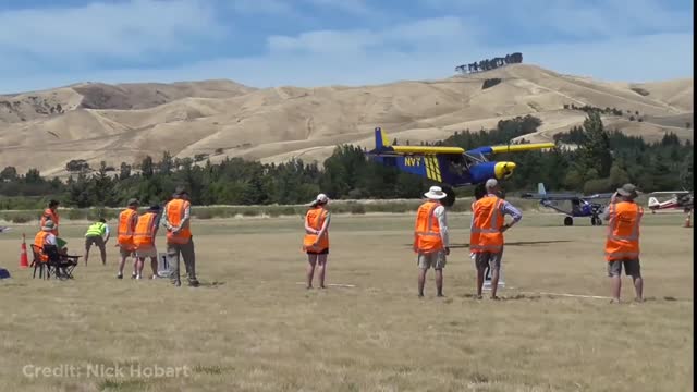 Plane Hits Tree Trunk In Water