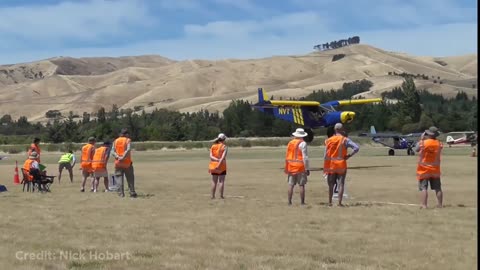 Plane Hits Tree Trunk In Water