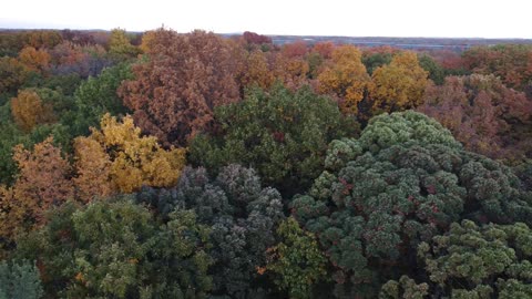 Michigan Fall Colors from a Drone