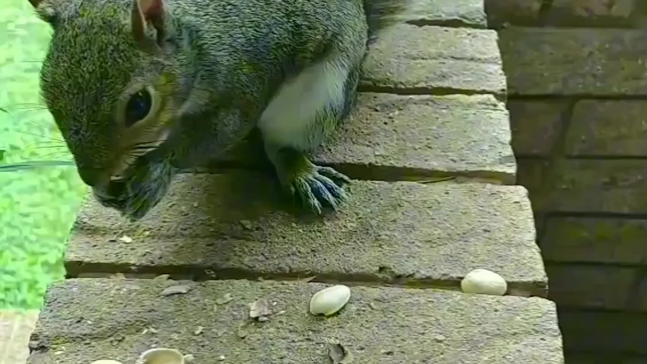 I'm so glad she likes the pistachios 🐿️!!!