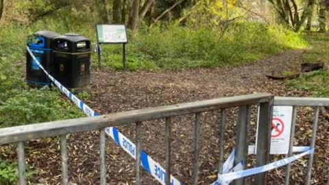 Boys, aged 14, among three arrests after 17-year-old stabbed near Cambridge nature reserve