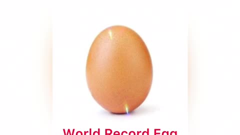 World Record Egg 55 Million Likes On Instagram