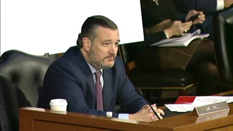 Watch Ted Cruz Grill This Hapless FBI Official On January 6 Events