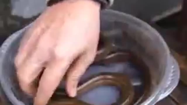 Try not to laugh