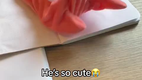 Dancing ChiikawaStar & PatrickStar