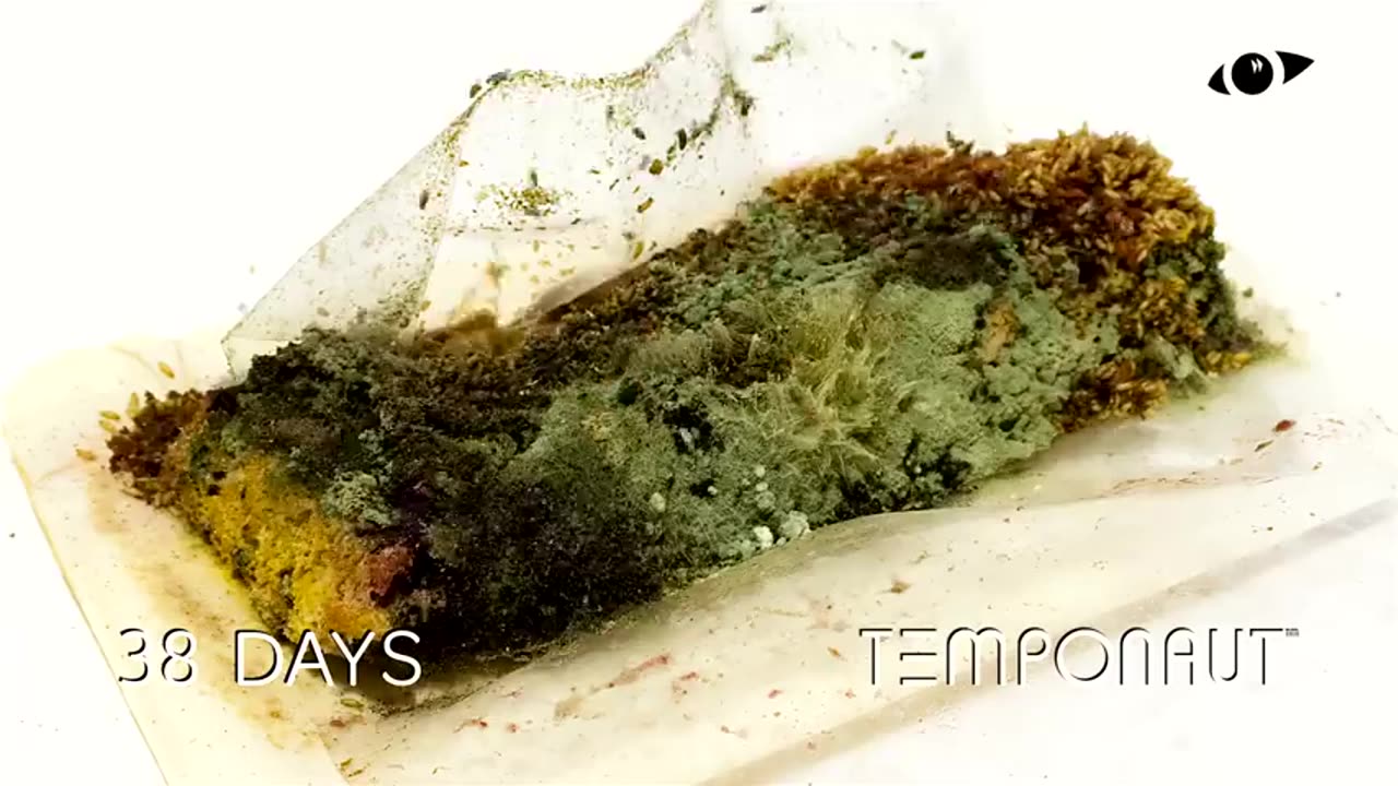 Raspberry Cake Timelapse