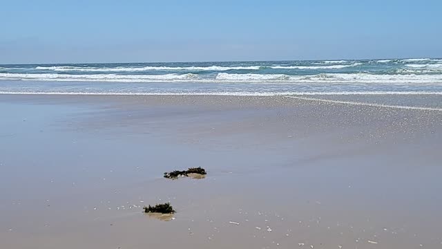 Lazy Sunday beach stroll