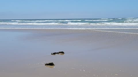 Lazy Sunday beach stroll