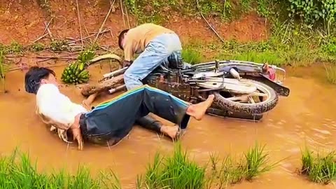chinese funny video for kids funny videos of animals.baby funny video