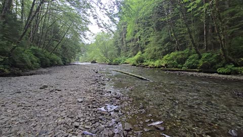 Without the rain or natural weather systems, We will lose this beautiful planet