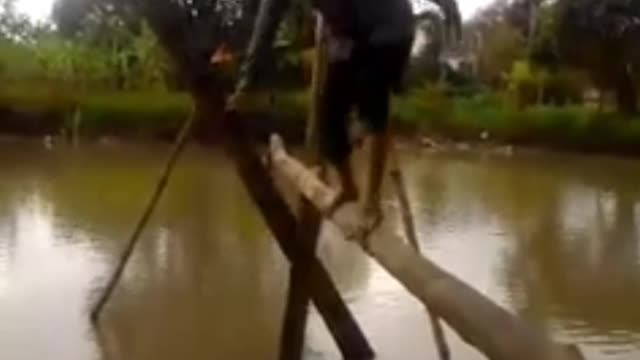 Arrogant youth and end