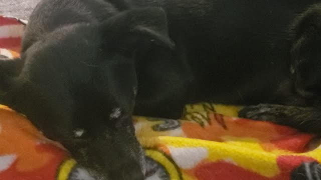 Ships on the coastline