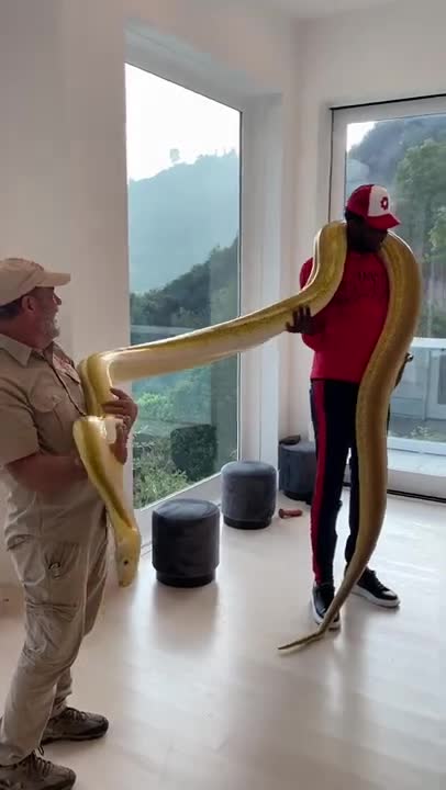 FUNNY AND CUTE ANIMALS 🐍⚕️🐍