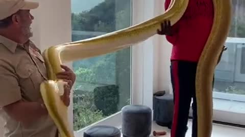 FUNNY AND CUTE ANIMALS 🐍⚕️🐍