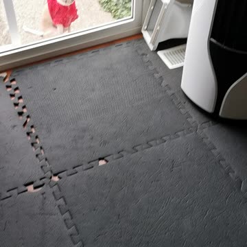 Letting spud and Buddy in