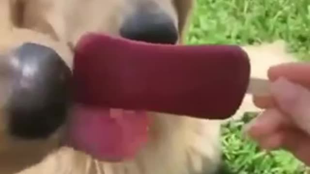 Give me that😂